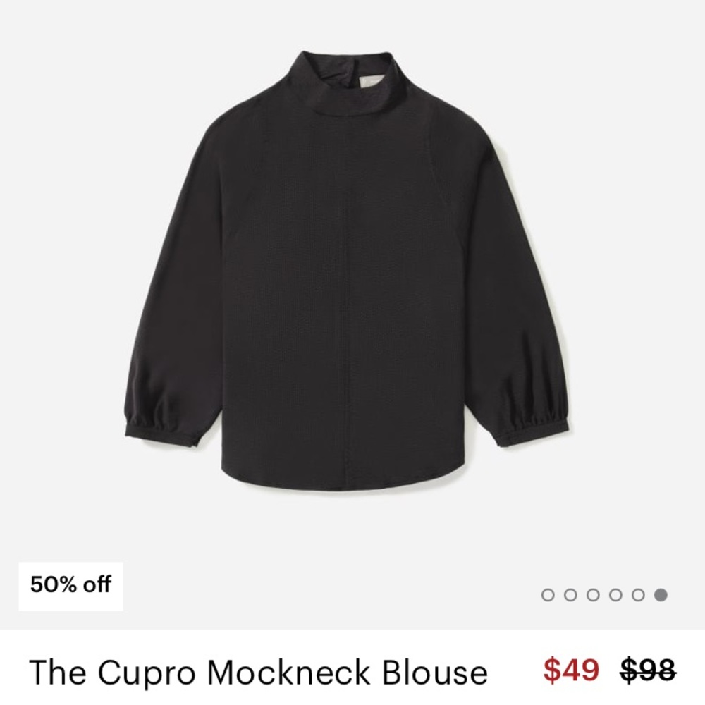 Everlane cupro mockneck blouse 2 BNWT